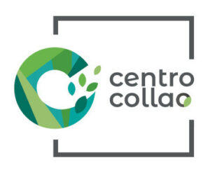 Logo Edificio Centro Collao